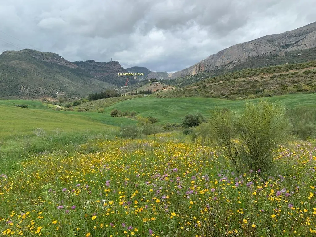 La Casita Blanca- La Almona Chica Guest House El Chorro 0*,  Spain