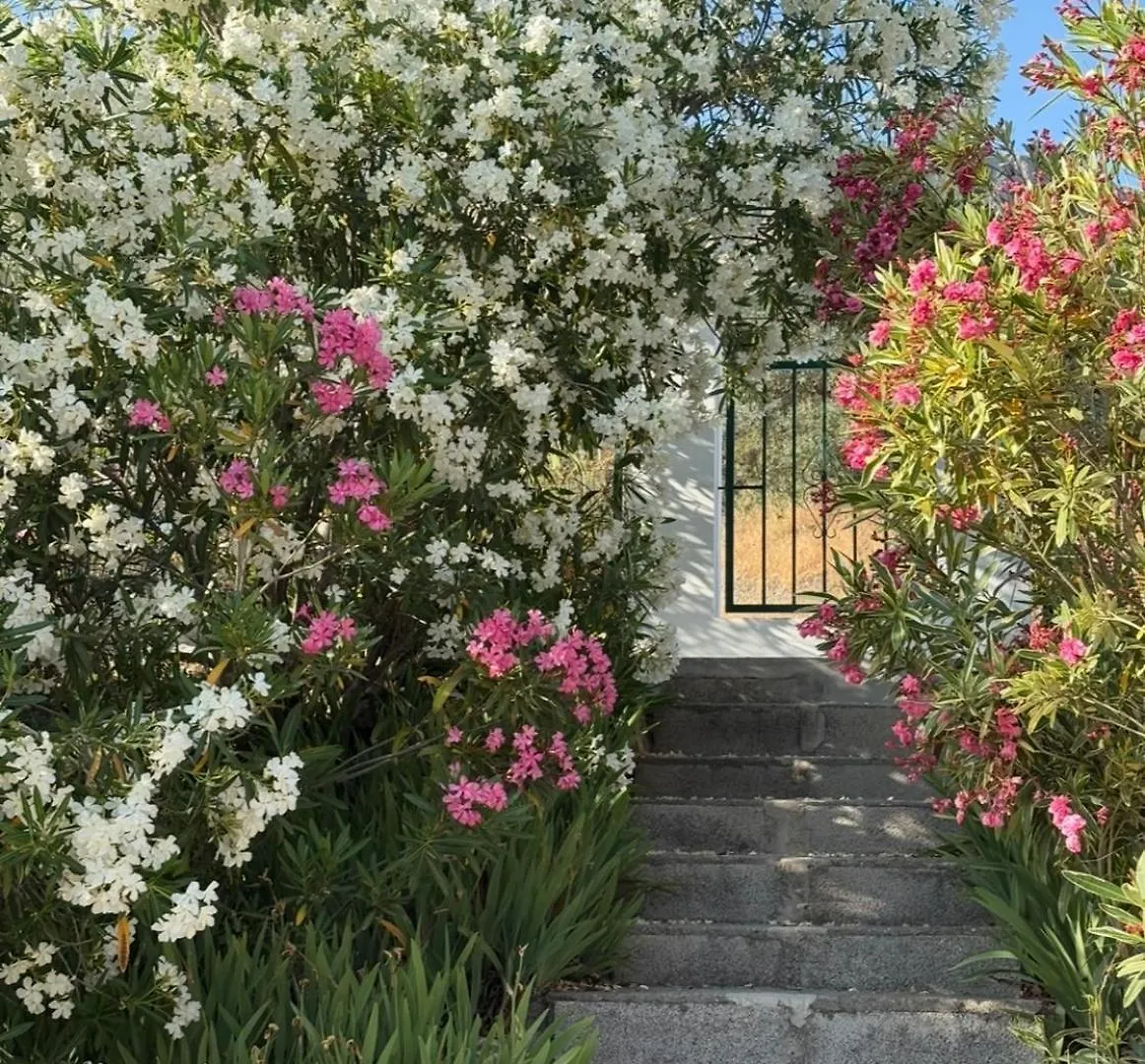 Country house La Casita Blanca- La Almona Chica Guest House El Chorro